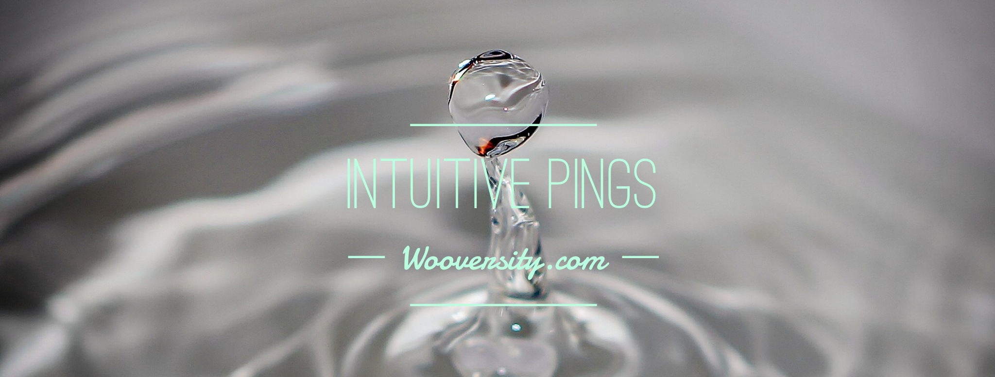 Listening To That Intuitive "Ping" - Following your intuition by Wooversity
